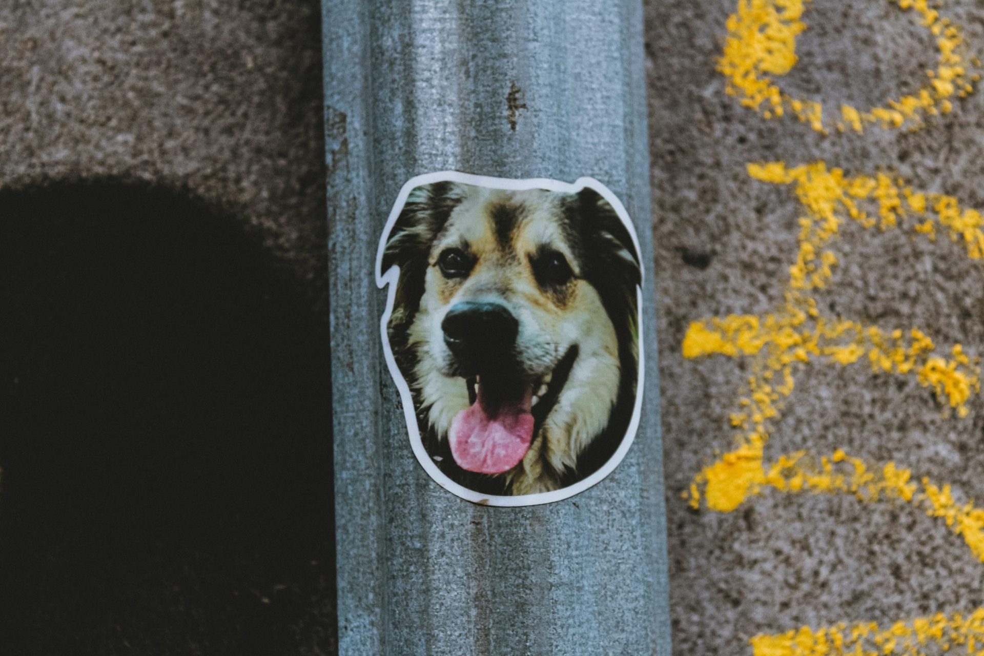 Dog Sticker Labels by Use Image