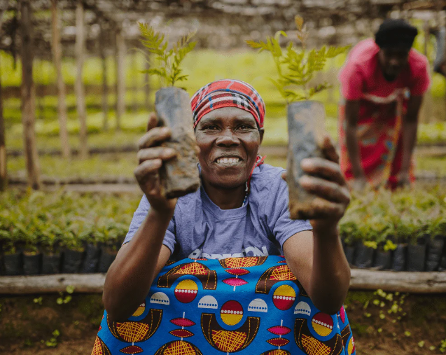 Rwandan Planter