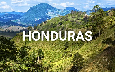 Eco Donations: Honduras